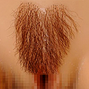 Public hair #1 [+$125.00]
